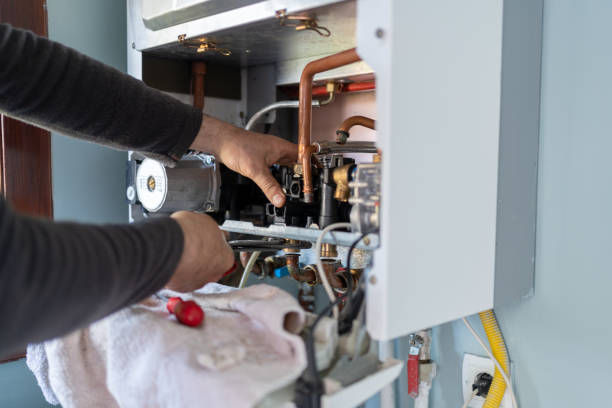 Best Residential Plumbing Services  in North Branch, MN